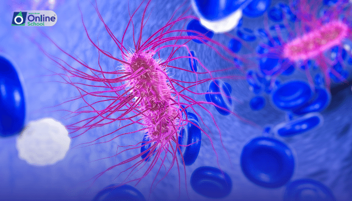 Lesson 05: Bacterial Endospores and Motility
